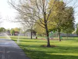 8th St. Park