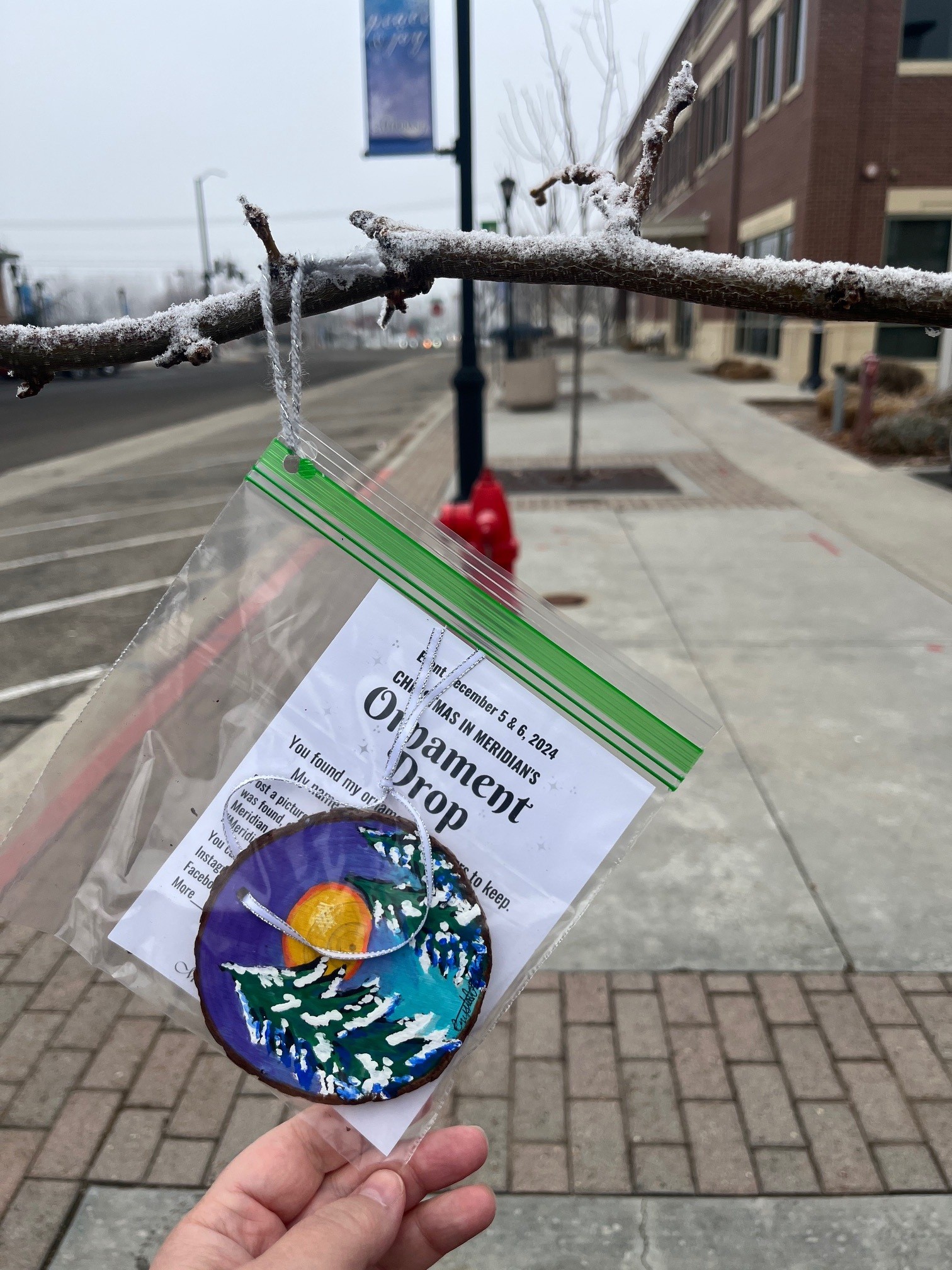 painted ornament in a ziploc bag hanging from a snowy branch in a street scene